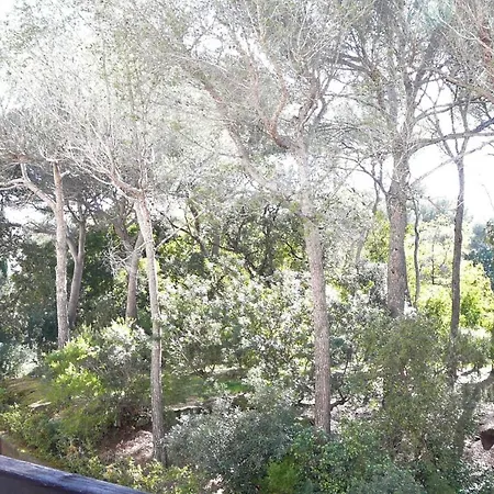 35m At 450m From The * Saint-Raphaël