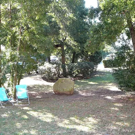 Appartement 35m At 450m From The